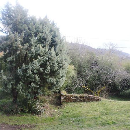Bed and Breakfast Les Marronniers La Chapelle-sous-Brancion Exterior foto